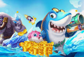 乐竞足球网页登录入口手机版